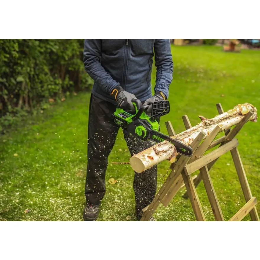 Akkumoottorisaha Greenworks GD24CS30, 30cm, 24V, 2Ah akulla
