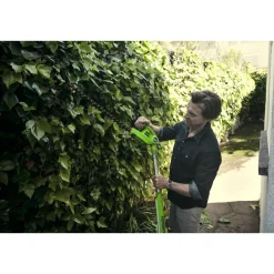 Akkupensasleikkuri Greenworks G40PHA, 40V, 2Ah akulla