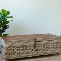 Arkkupöytä Home4You Egros, 120x60x39cm, luonnonrottinki