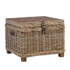 Arkkupöytä Home4You Egros 60x60x45cm, luonnonrottinki
