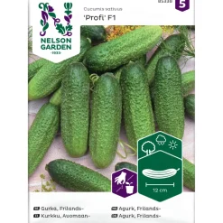 Avomaankurkku Nelson Garden Profi F1, siemenet