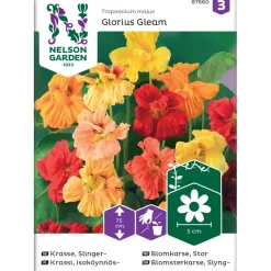 Isoköynnöskrassi Nelson Garden Glorious Gleam, siemenet