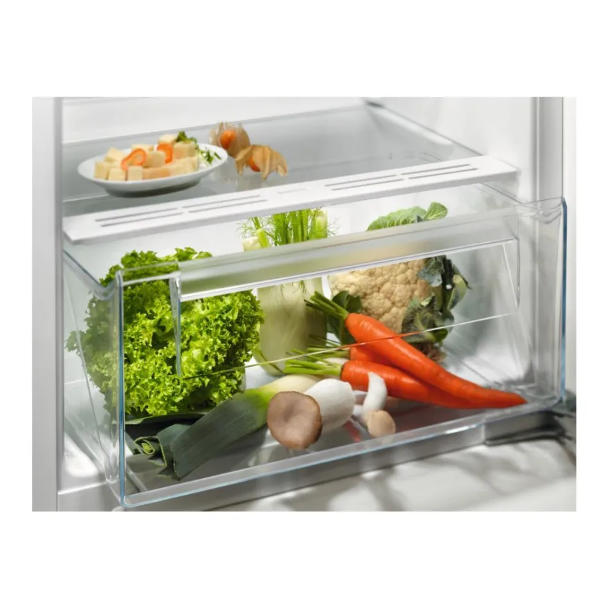 Jääkaappi Electrolux Series 500 l,RB3AE12S 500, 54.8cm, 208l, valkoinen