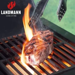 Kaasugrilli Landmann Rexon Cool Black MaxX 4.1, 4 poltinta, infrapunasivukeitin