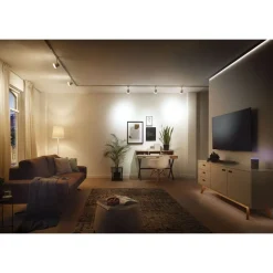 Kaukosäädin Paulmann Smart Home Bluetooth Boss, musta