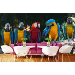 Kuvatapetti Dimex Colourful Macaw, 375x250cm, monivärinen