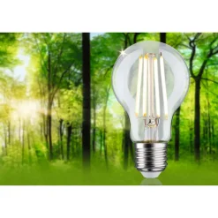 LED-filamenttilamppu Paulmann Eco-Line Pear, E27, 525lm, 2.5W, 3000K, kirkas