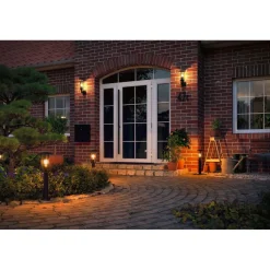 LED-filamenttilamppu Paulmann Pear, E27, 420lm, 4.3W, 2200K, hyönteisystävällinen, kirkas