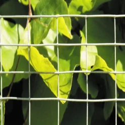 Suojaverkko Hortus, 12.5x25-0.9mm, 1x5m, galvanoitu