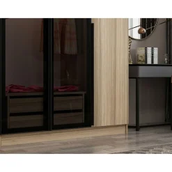 Vaatekaappi Linento Furniture Kale Plus 210x225cm 2 läpikuultavaa ovea eri värejä