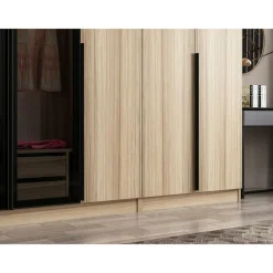 Vaatekaappi Linento Furniture Kale Plus 210x315cm 2 läpikuultavaa ovea eri värejä