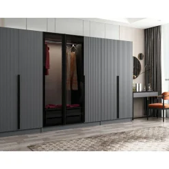 Vaatekaappi Linento Furniture Kale Plus 210x315cm 2 läpikuultavaa ovea eri värejä