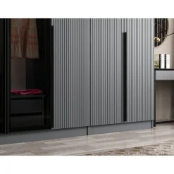 Vaatekaappi Linento Furniture Kale Plus 210x315cm 2 läpikuultavaa ovea eri värejä
