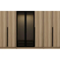Vaatekaappi Linento Furniture Kale Plus 210x315cm 2 läpikuultavaa ovea eri värejä
