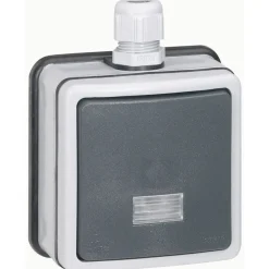 Vaihtokytkin Legrand Plexo 66 10 A IP66 pinta, harmaa