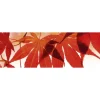 Välitilatarra Dimex Red Leaves, 180-350x60cm
