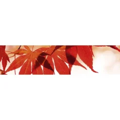 Välitilatarra Dimex Red Leaves, 180-350x60cm