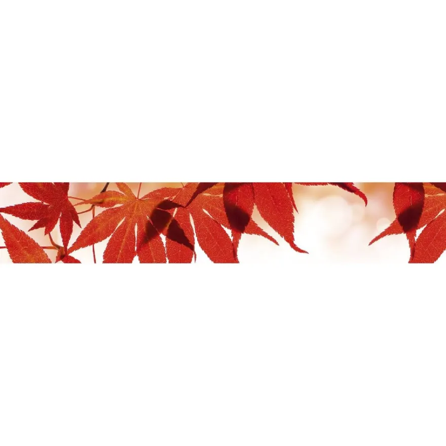 Välitilatarra Dimex Red Leaves, 180-350x60cm