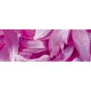 Välitilatarra Dimex Violet Petals, 180-350x60cm