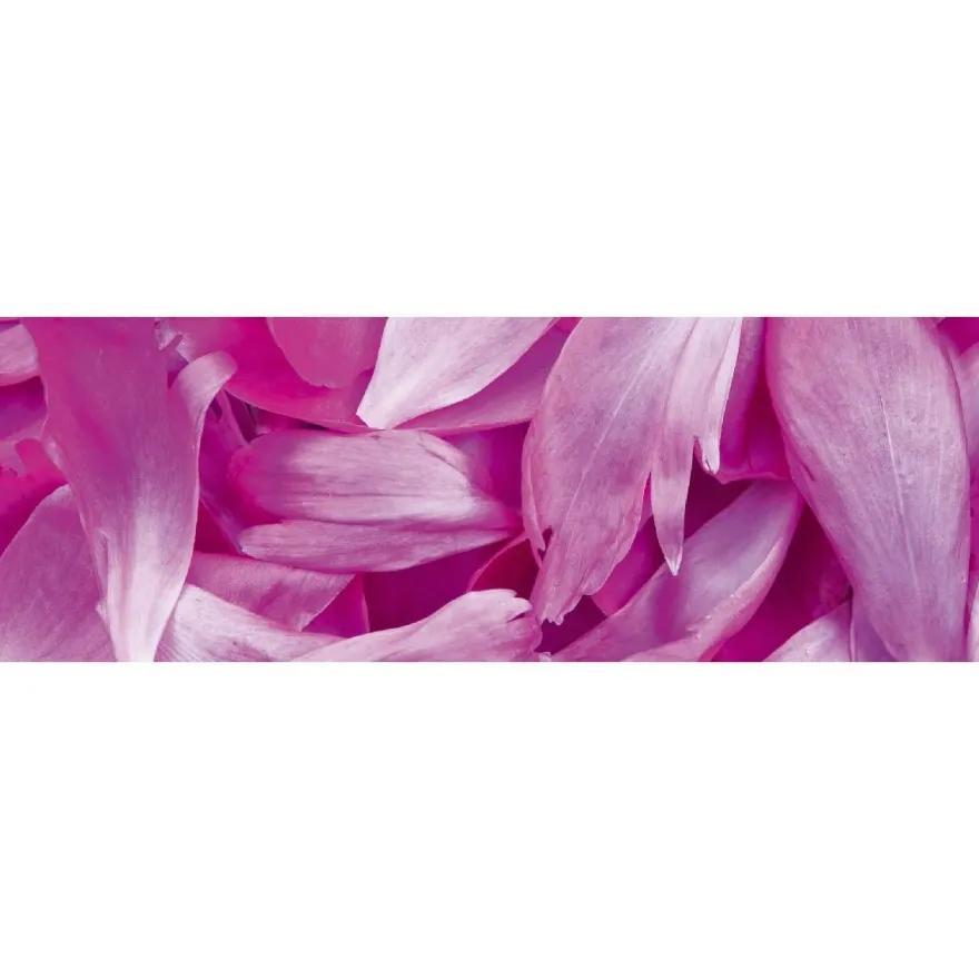 Välitilatarra Dimex Violet Petals, 180-350x60cm