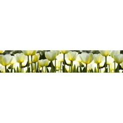 Välitilatarra Dimex White Tulips, 180-350x60cm