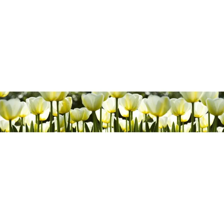 Välitilatarra Dimex White Tulips, 180-350x60cm