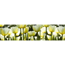Välitilatarra Dimex White Tulips, 180-350x60cm